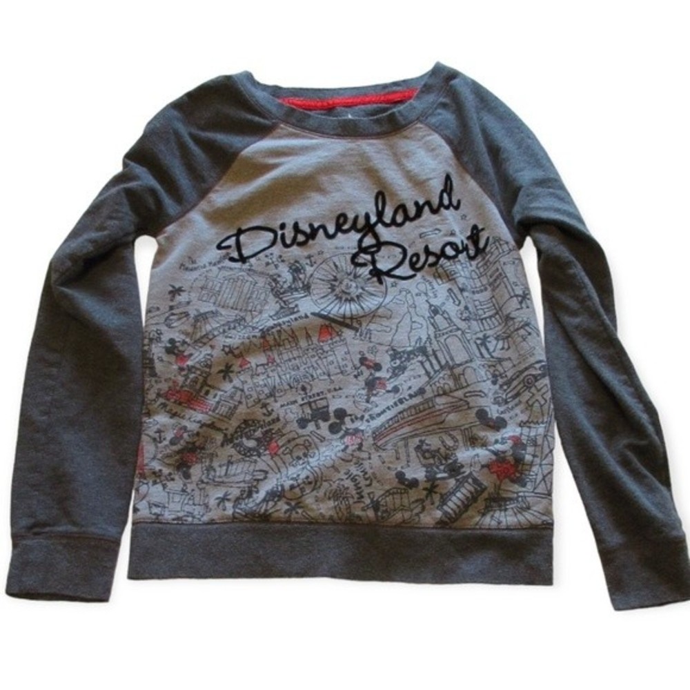 Disney Parks Gray Sweatshirt